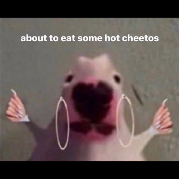 Meet your Posher, Loraine - Picture 1 of 1